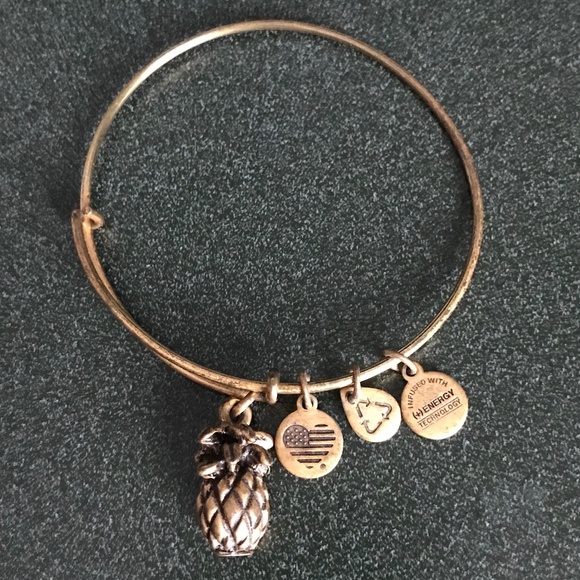 Alex and Ani Expandable Wire Bracelet Pineapple Charm - Picture 11 of 13